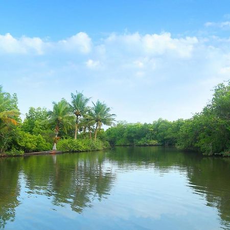 Global Lake Villa Hikkaduwa Luaran gambar