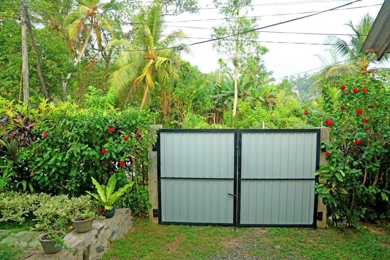Global Lake Villa Hikkaduwa Luaran gambar